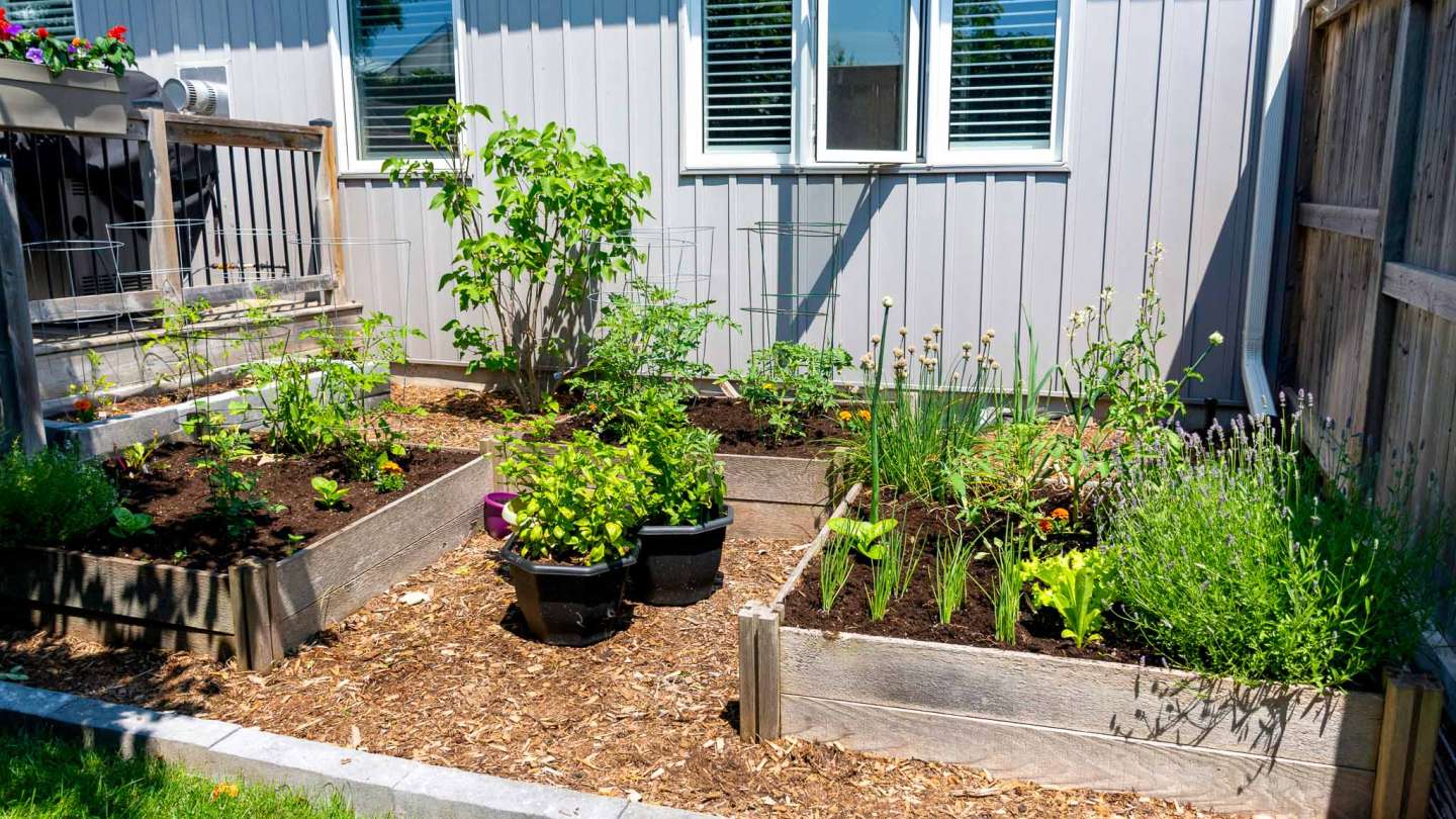 Landfill and Reuse Raleighnc.gov